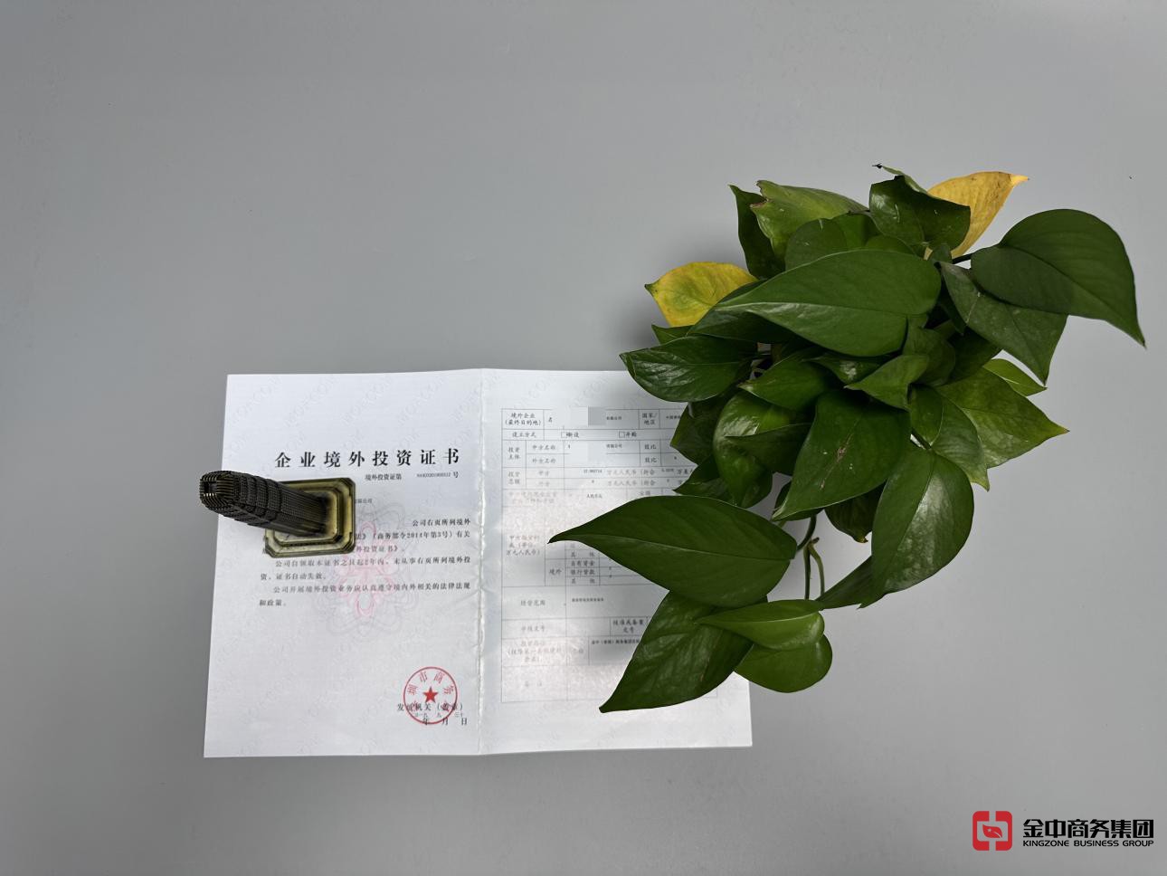 37號文登記 37號文登記